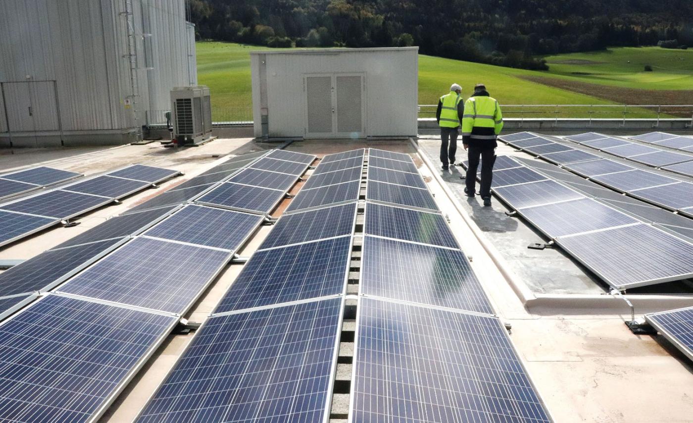 06_2105_Vogel_Bild_0