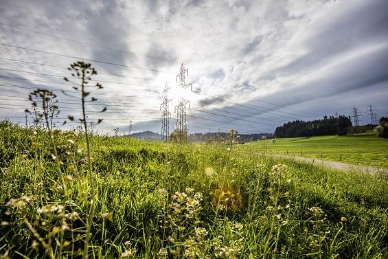 Les réseaux électriques suisses doivent être développées afin de garantir la sécurité d'approvisionnement. Mais ce développement comporte aussi des risques.