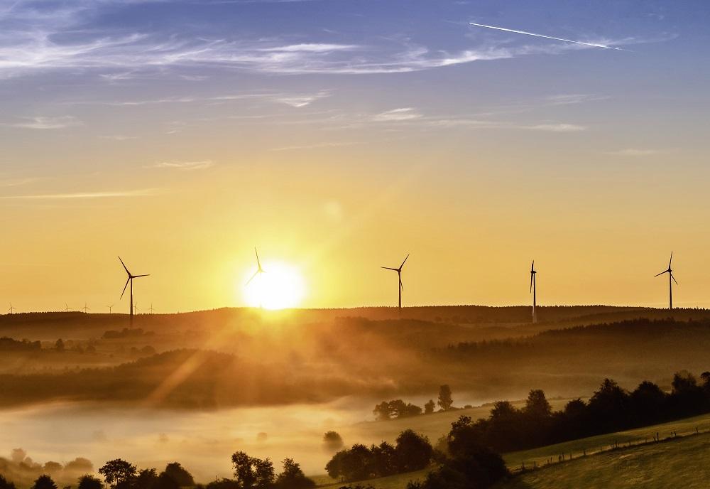 Bild: Myriams Fotos/pixabay