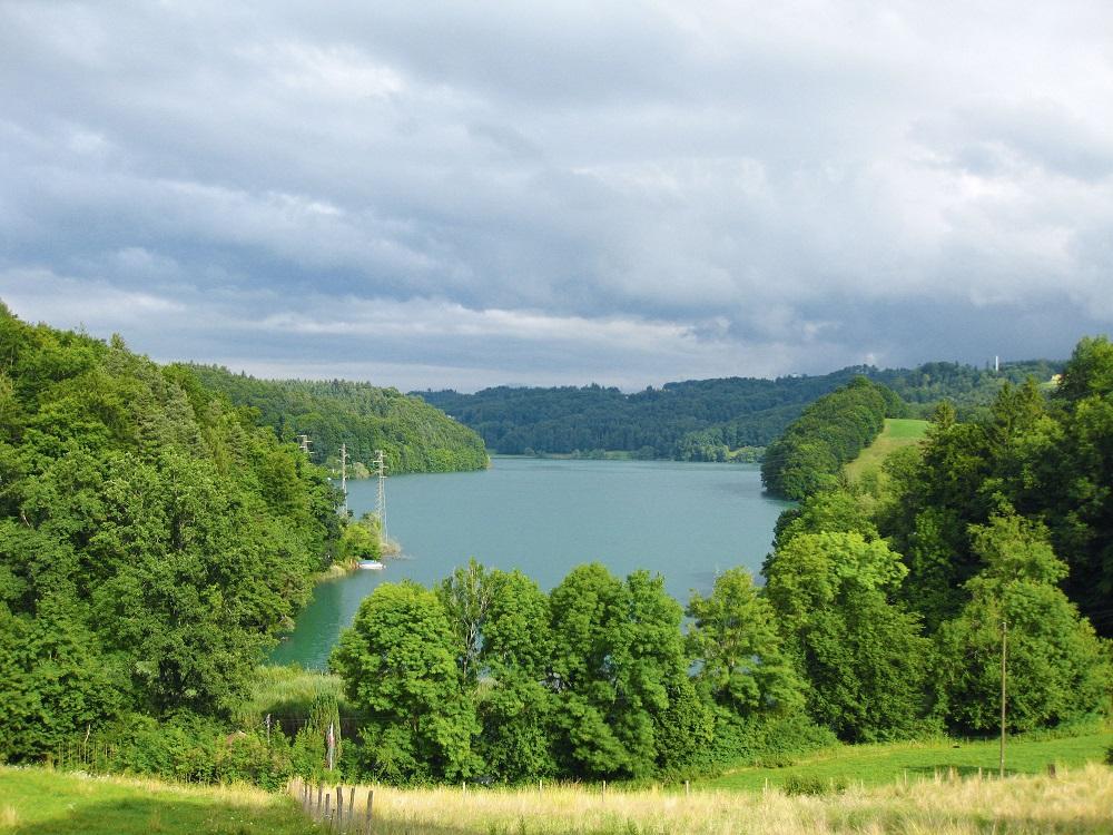 Bild: Violetta/pixabay