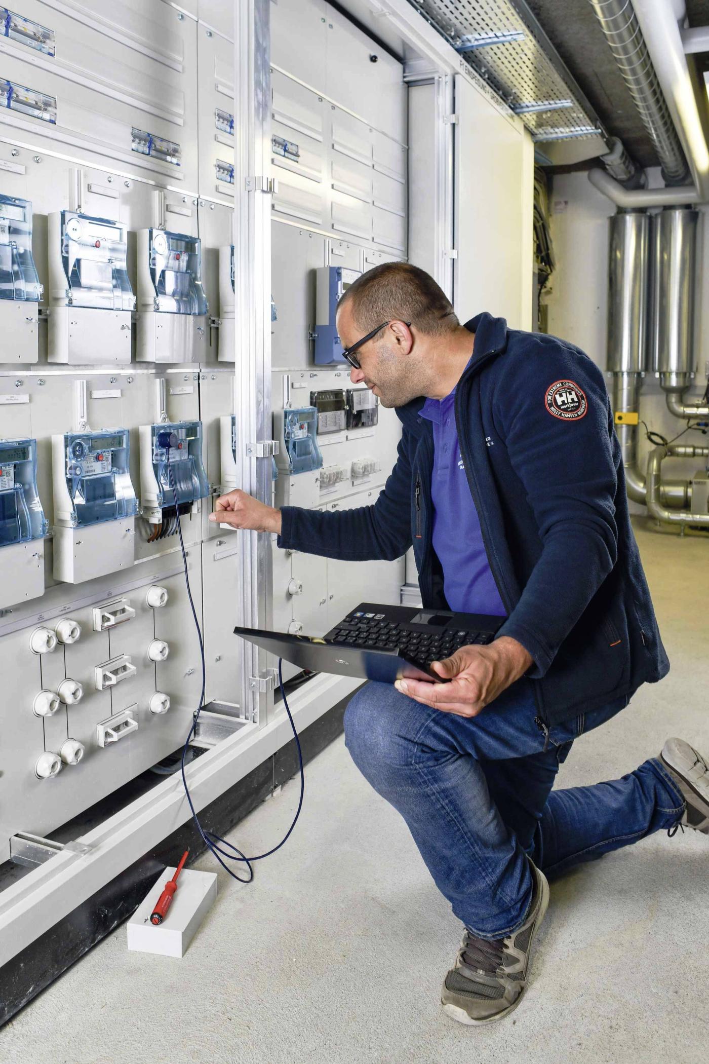 Die Daten von Smart Metern spielen eine wichtige Rolle, wenn man die Flexibilitäten im Verteilnetz nutzen will.
