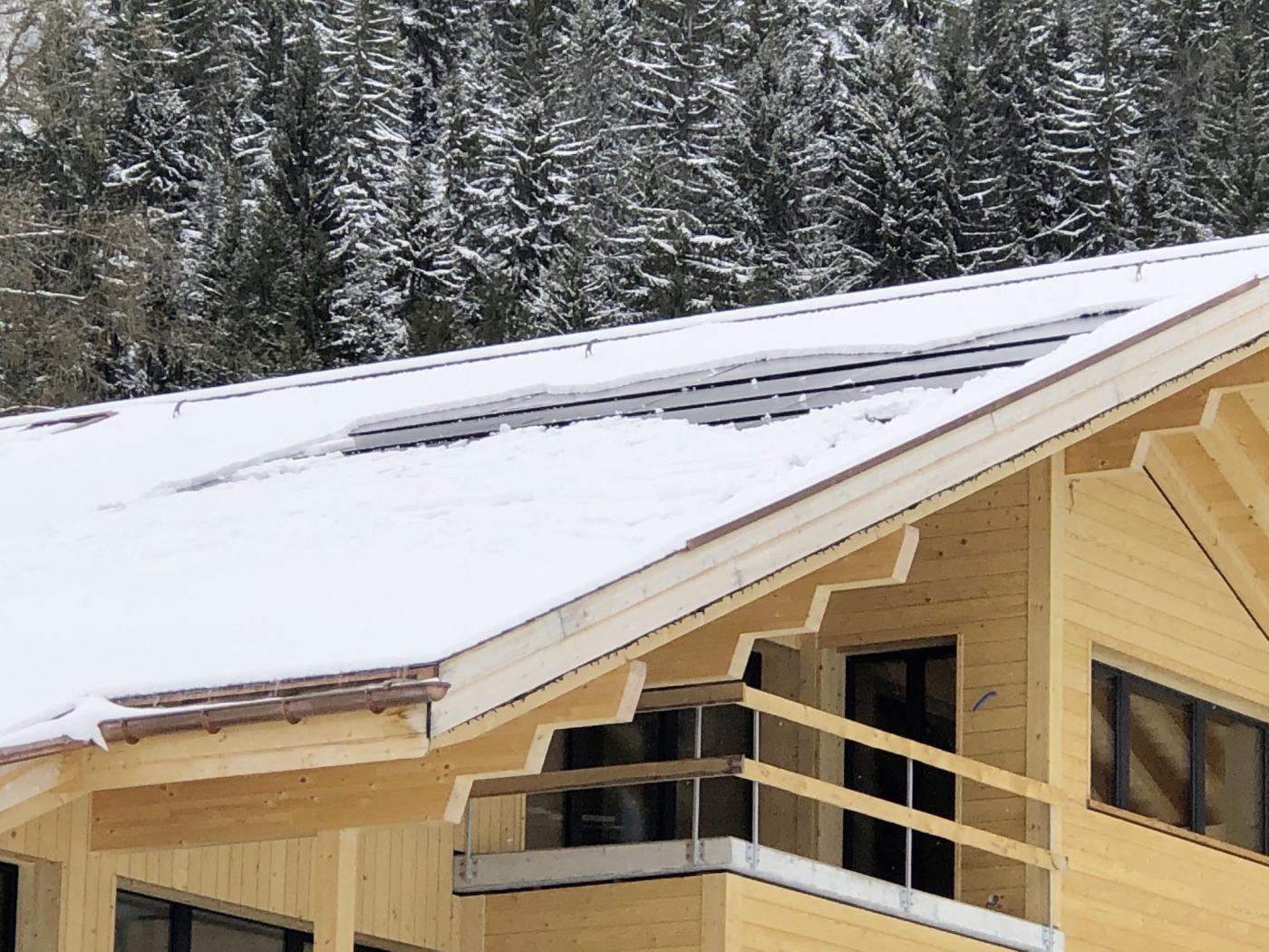 Nützliche Zusatzfunktion: Im Winter lässt sich mit dem thermischen Teil des PVT-Moduls der Schnee abtauen.