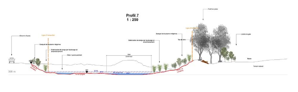 Aménagement de l'embouchure de l'Avançon: profil en travers type.
