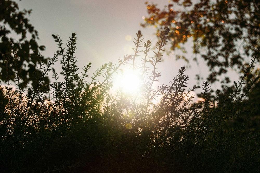 Bild: Stacie Clark/unsplash