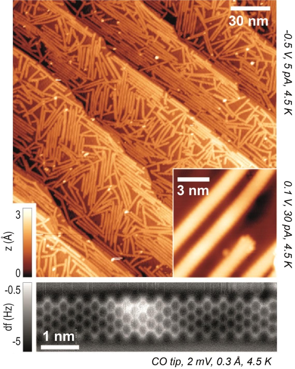 Les bandelettes microscopiques sont disposées en croisillons sur le substrat à base d'or.