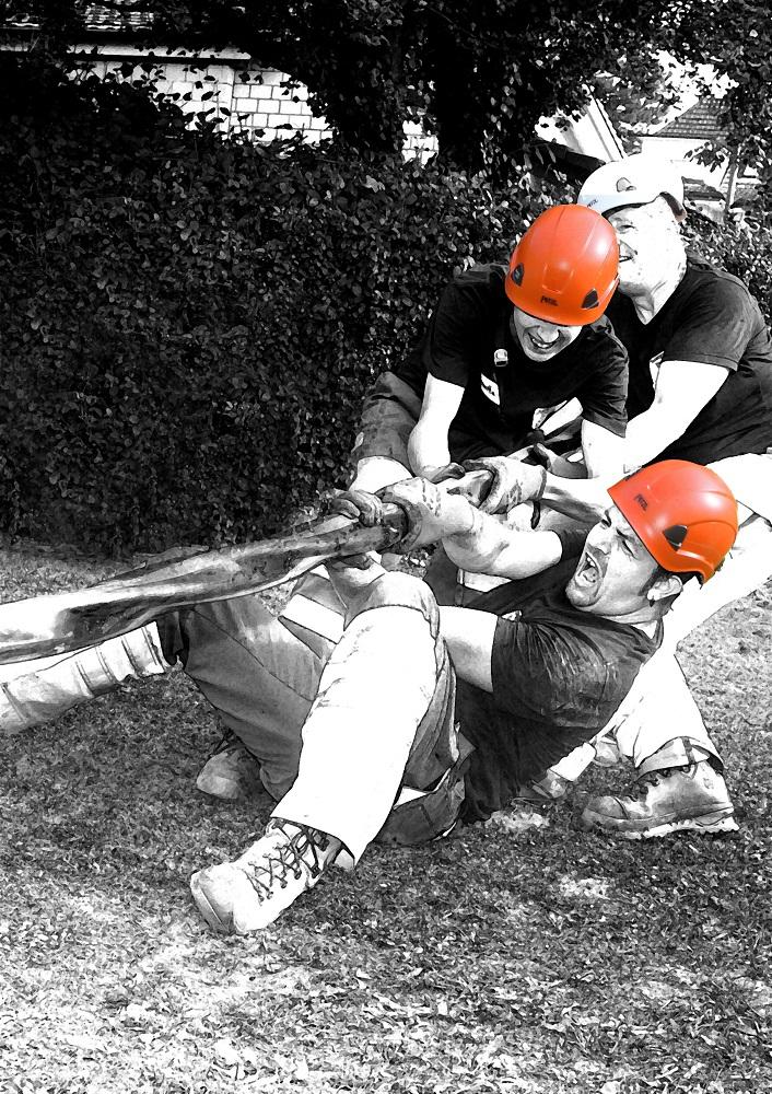 Bild: Netzelektriker-Forum