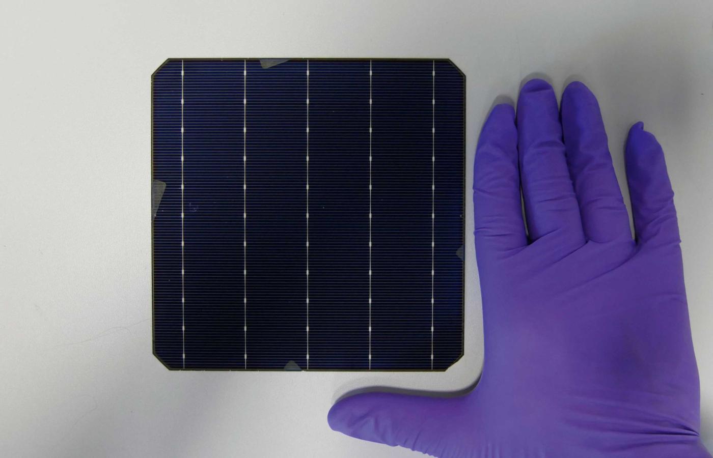 Am Fraunhofer ISE hergestellte 244 cm² grosse Perowskit-Silicium-Tandemsolarzelle mit siebgedruckter Frontmetallisierung.