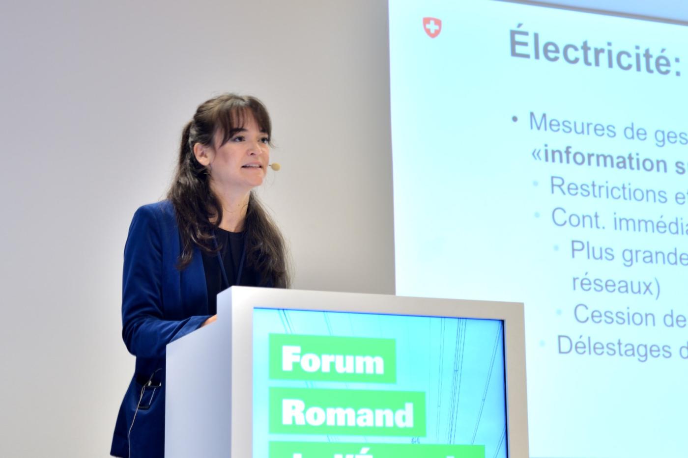 Figure:  Electrosuisse
