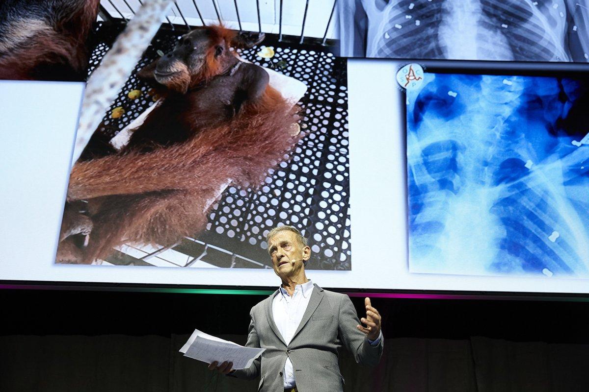 Der Chirurg Andreas Messikommer schilderte seine herausfordernde Arbeit mit Orang-Utans in Sumatra.