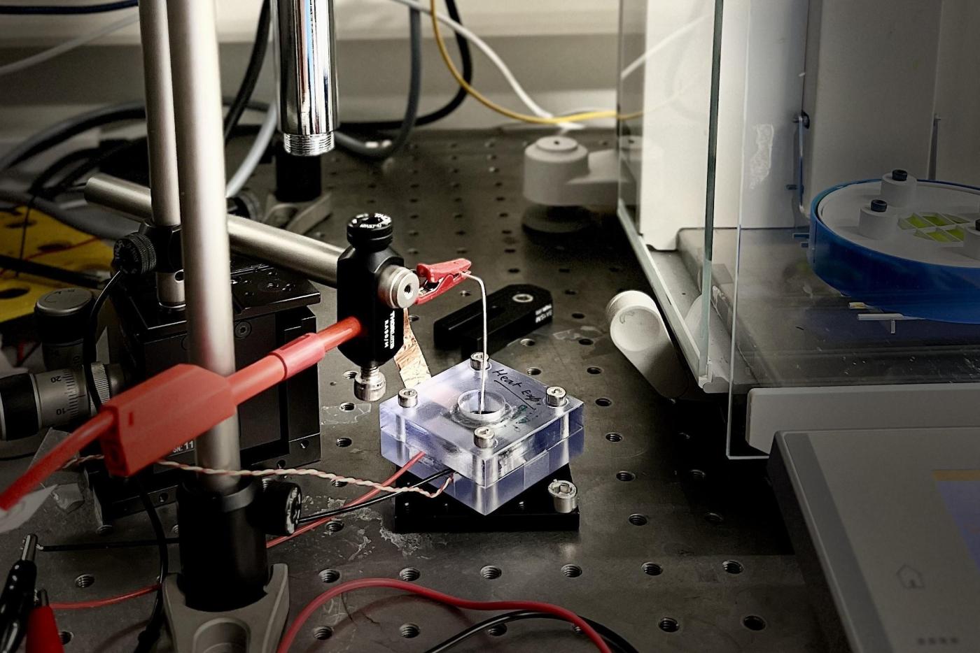 Figure: LNET EPFL