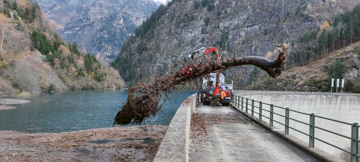 <strong>Bild 1</strong> Holzentnahme aus dem Malvaglia-Stausee am 19. November 2024.
