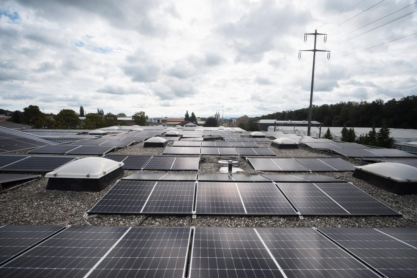 Vert sur toute la surface: l'installation photovoltaïque (PV) sur les toits des halles de <span class="nowrap">MPW AG</span> a été étendue systématiquement au fil des ans et constitue la pièce maîtresse de l'exploitation sans énergies fossiles.