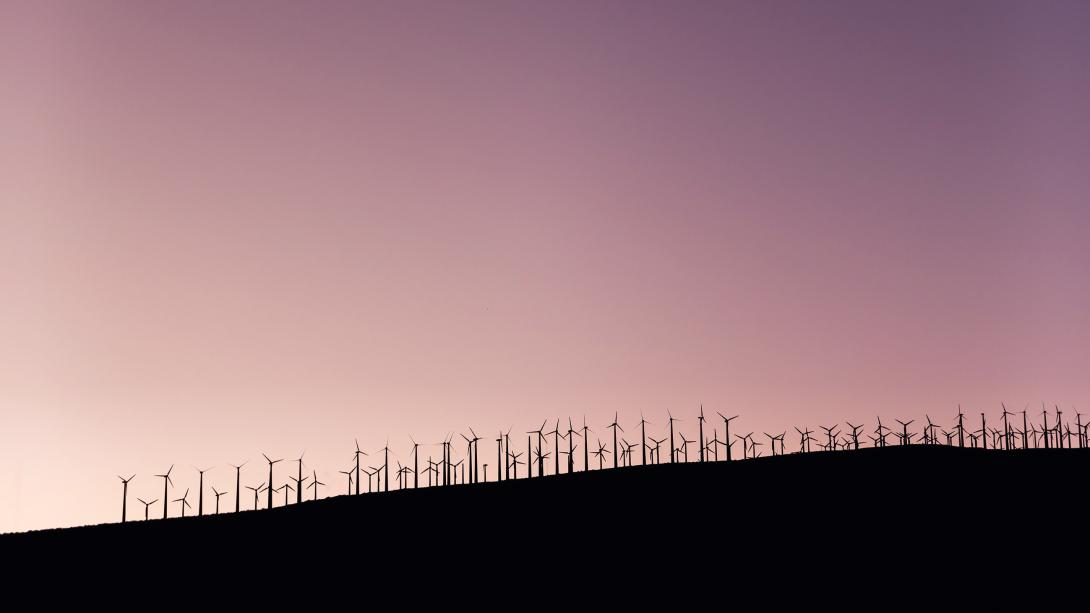 Windparks: Konkurrenz gräbt den Wind ab