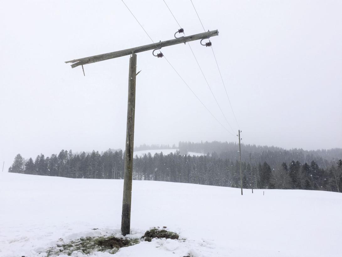 Standsicherheit von Kandelabern und Masten