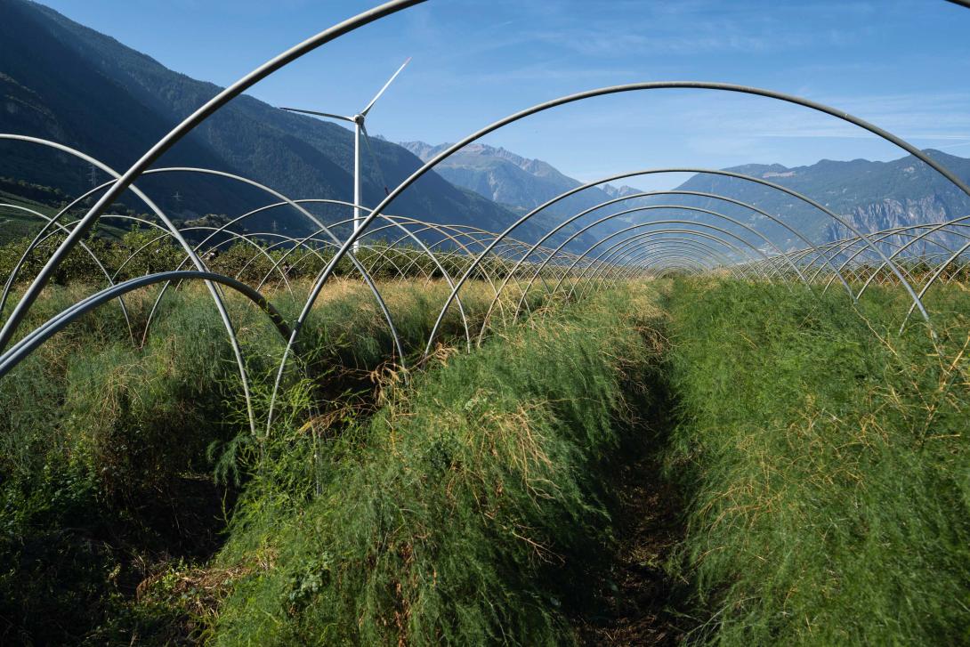 Atteindre 6 TWh de courant éolien d’ici 2030