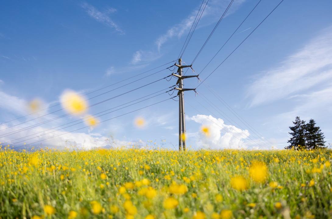 Das Stromnetz für die Energiewende neu denken