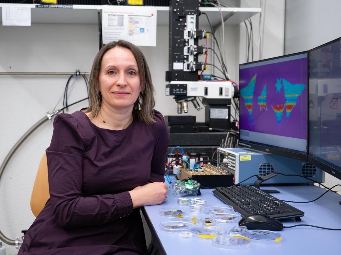 Des cellules solaires aux&nbsp;cristaux quantiques